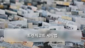 트렌치코트 세탁법, 오래 입는 나만의 비법을 찾다