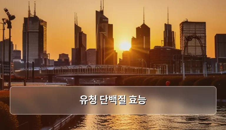 유청 단백질 효능과 효율적인 섭취 방법 및 주의사항