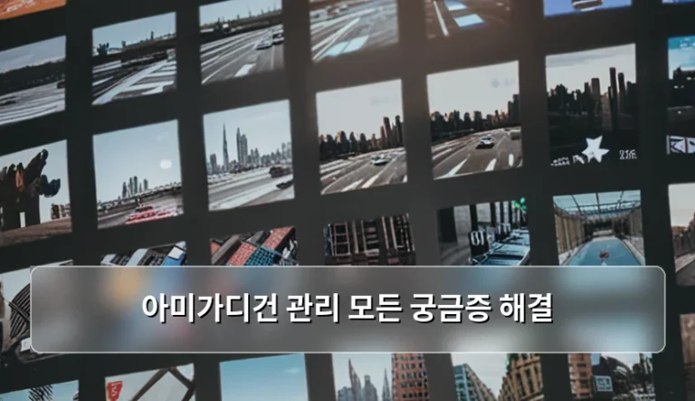 아미가디건 관리 모든 궁금증 해결 및 유지 보수 가이드
