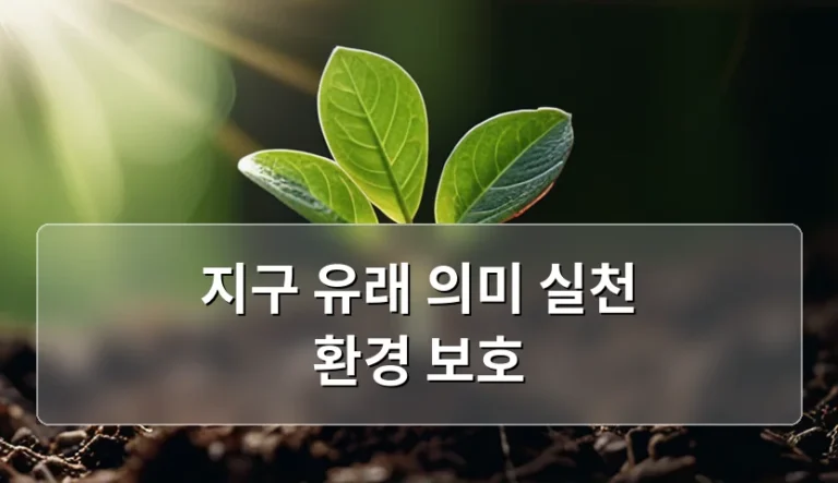 지구 유래 의미 실천 환경 보호 생각하며 분리수거함 앞에 섰을 때